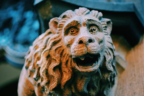 abe figurine, kunst, gargoyle, ornament, statue, skulptur, Tyskland, munchen, rathaus-klokkespil, person, menneskemængde, karneval, human, parade, ansigt, hoved, kostume, dyre temaer, dyr, tæt på, et dyr, ingen mennesker, dyreliv, pattedyr, dyr repræsentation, fokus på forgrunden, dyr kropsdel, repræsentation, Kunst og håndværk, kreativitet, dag, dyr i naturen, dyr hoved, selektiv fokusering, feline, marine, 5K, CC0, offentligt domæne, royaltyfrie