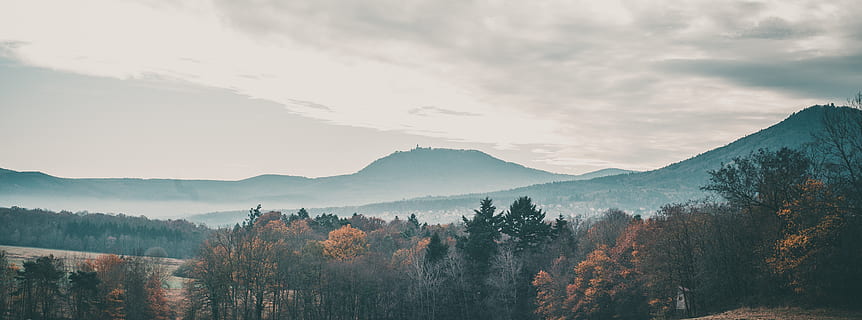 pohon hijau, pohon, menanam, Abies, pohon cemara, alam, di luar rumah, konifer, Perancis, pemandangan, pedesaan, pinus, gunung, pegunungan, merapikan, bukit, kabut, gurun, daun, langit, musim gugur, scenics - alam, keindahan di alam, adegan yang tenang, lingkungan Hidup, ketenangan, awan - langit, hutan, tidak ada orang, tanah, adegan non-urban, perubahan, pohon pinus, pohon jenis konifera, hutan pinus, 5K, CC0, domain publik, bebas royalti