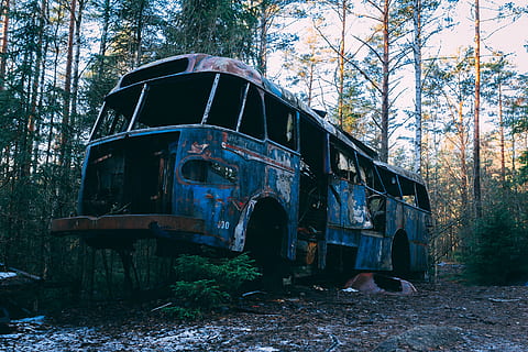 wrecked, blue, bus, woods, abandoned, forest, junk, sweden, wreck, wreckage, tree, plant, land, nature, transportation, damaged, obsolete, old, run-down, decline, deterioration, mode of transportation, architecture, no people, day, weathered, built structure, woodland, outdoors, ruined, 5K, CC0, public domain, royalty free