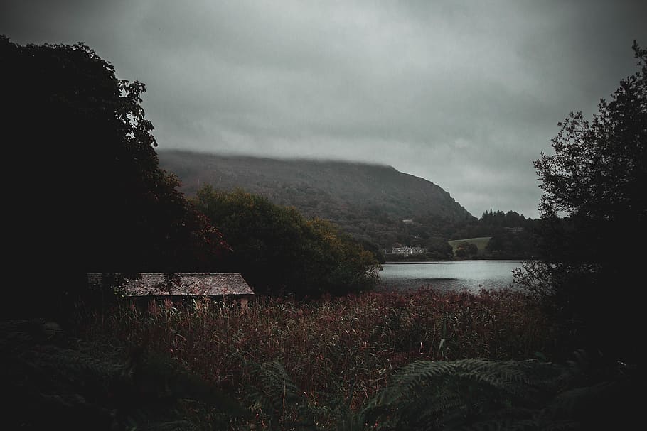 lav, lysfotografering, sø, buske, skyer, overskyet, grå himmel, landskaber, bjerge, natur, naturskøn, træer, vand, vidvinkel, plante, himmel, træ, skønhed i naturen, sky - himmel, scenics - natur, ro, rolig scene, ingen mennesker, arkitektur, vækst, bjerg, dag, ikke-urbane scene, udendørs, 5K