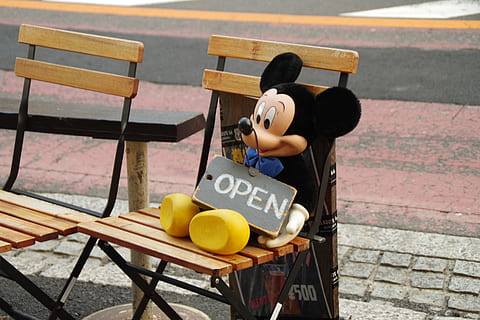 Mickey Mouse, abierto, una persona, asiento, día, vista de alto ángulo, gente real, texto, ropa casual, sentado, escritura occidental, banco, comida y bebida, estilos de vida, comida, al aire libre, actividad de ocio, hombres, infancia, participación, naturaleza, adoquín, Banco del parque, 4K, CC0, dominio público, libre de derechos