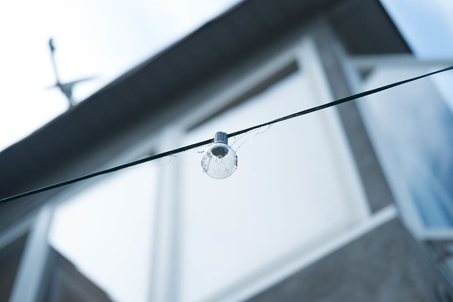 natura, luci, al di fuori, web, ragnatela, lampadina, Inquadratura dal basso, nessuno, elettricità, attrezzatura per l'illuminazione, sospeso, avvicinamento, architettura, struttura costruita, giorno, concentrarsi sulle conoscenze acquisite, esterno dell'edificio, all'aperto, connessione, costruzione, tecnologia, cielo, messa a fuoco selettiva, soffitto, direttamente sotto, 4K