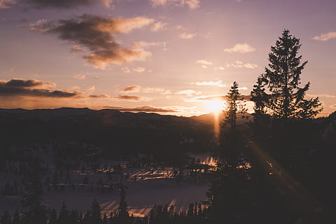 albero silhouette, tramonto, retroilluminato, nuvole, crepuscolo, sera, ora d'oro, sole dorato, tramonto dorato, paesaggio, montagne, natura, all'aperto, riflessione, panoramico, sagome, cielo, sole, luce del sole, alberi, acqua, albero, bellezza nella natura, scenics - natura, scena tranquilla, la tranquillità, nuvola - cielo, pianta, silhouette, nessuno, scena non urbana, colore arancione, lago, idilliaco, 5K, CC0, dominio pubblico, privo di copyright