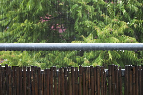 Alemanya, Berlín, friedrichshain, tempesta, arbres, aigua, gotes de pluja, gotes d'aigua, dutxa, tempestuós, pluja d’estiu, estiu, plujós, pluja, bambú, refrescant, refresc, fresc, ona de calor, trons, límit, barrera, tanca, centrar-se en primer pla, protecció, seguretat, planta, cap gent, color verd, naturalesa, primer pla, dia, arbre, material de fusta, creixement, a l'aire lliure, humit, barana, metall, temporada de pluges, gota de pluja, bambú - planta, 5K, CC0, domini públic, lliure de regalies