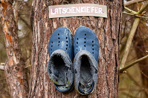 Kiefer, Schuhe, Leder, alt, Baum, Paar, Latschenkiefer, Wald, zwei, Schuh, Körperteil, Nahansicht, Text, Tag, menschliches Körperteil, Kofferraum, Baumstamm, Fokus auf den Vordergrund, niedriger Abschnitt, Kommunikation, Loch, menschliches Bein, Stehen, Holz - Material, draußen, Blau, menschlicher Fuß, menschliches Glied, 5K, CC0, gemeinfrei, lizenzfrei