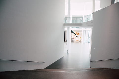 hvitmalte vegg, dyr, dyre temaer, innendørs, ett dyr, virveldyr, innenlands, én person, veggbyggingsfunksjon, arkitektur, dag, husdyr, kjæledyr, pattedyr, inngang, vindu, dør, hjem interiør, kopiere plass, 4K, CC0, offentlig domene, opphavsrett gratis
