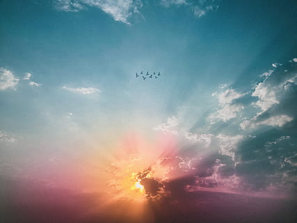 mare, carta da parati alba nuvole, animali, uccelli, luminosa, nuvole, colorato, luce del giorno, crepuscolo, sera, Stormo di uccelli, volante, Paradiso, luce, all'aperto, cielo, skyscape, sole, raggio di sole, Alba, tramonto, tempo metereologico, nuvola - cielo, bellezza nella natura, scenics - natura, Inquadratura dal basso, natura, la tranquillità, scena tranquilla, vertebrato, silhouette, nessuno, luce del sole, uccello, temi animali, gruppo di animali, mezzi di trasporto, veicolo aereo, idilliaco, 4K, CC0, dominio pubblico, privo di copyright