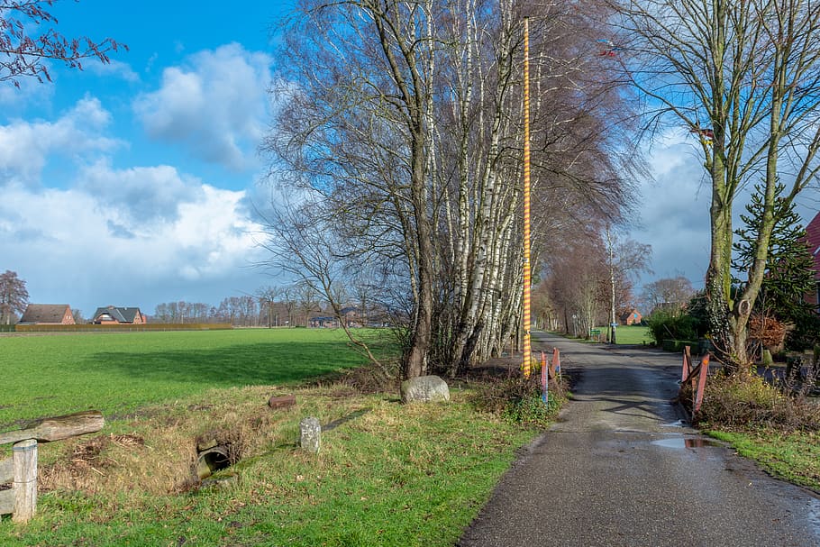 landschap, weg, grens, slagboom, platteland, wolken, boom, fabriek, hemel, wolk - lucht, natuur, de weg vooruit, richting, gras, dag, kale boom, land-, geen mensen, veld-, vervoer, kalmte, groene kleur, architectuur, ingebouwde structuur, buitenshuis, 4K