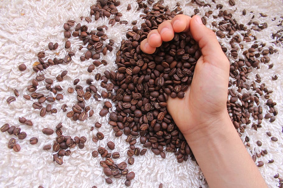 kaffe, drikke, koffein, cafe, frisk, drikkevarer, cappuccino, aroma, ristet kaffe, kaffebønne, ristet korn, mad, smag, stimulerende, morgenmad, hånd, fingre, menneskelig kropsdel, en person, menneskelig hånd, kropsdel, høj vinkel visning, natur, direkte over, mad og drikke, tæt på, rigtige mennesker, indendørs, menneskelige fod, skrøbelighed, hænder cupped, stor gruppe af objekter, baby, overflod, finger, menneskelig lem, 5K