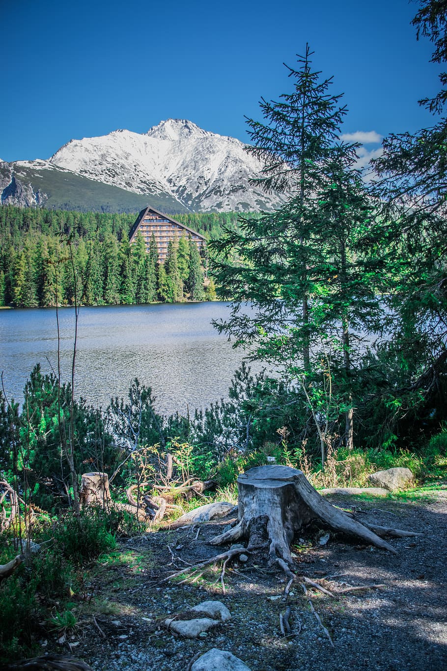 lago, Pleso, natura, montagne, paesaggio, panorama, slovacchia, Tatra, acqua, pace, albero, pianta, montagna, la tranquillità, scena tranquilla, bellezza nella natura, cielo, scenics - natura, crescita, scena non urbana, nessuno, terra, giorno, foresta, idilliaco, all'aperto, a distanza, 5K