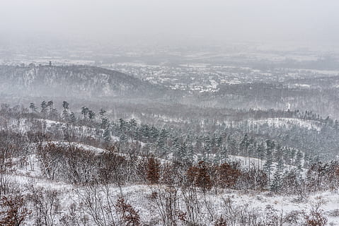 vinter-, kall, dimma, snöig, snö, is, landskap, natur, vintrig, vit, frostig, snöfall, tallar, mystiker, idyllisk, frysta, berg, bergen, humör, lugna, tapet, fredlig, kall temperatur, scenics - natur, miljö, skönhet i naturen, inget folk, träd, lugn plats, landa, dag, växt, lugn, skog, icke-urbana scenen, utomhus, snöar, klimat, snötäckt berg, häftig snöstorm, barrträd, 5K, CC0, offentligt domän, royaltyfria