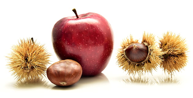 manzana, castaña, comer, frutas, otoño, estimular, delicioso, frutas de otoño, sano, comida, octubre, maduro, redondo, rojo, vitaminas, cosecha, comida y bebida, alimentación saludable, bienestar, Fruta, frescura, de cerca, castaña - comida, manzana - fruta, foto de estudio, nadie, nuez - comida, nuez, separar, planta, grupo de objetos, Fondo blanco, adentro, naturaleza muerta, 5K, CC0, dominio público, libre de derechos