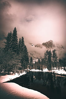 grøn, træer, hvid, plante, træ, gran, abies, nåletræ, fyrretræ, natur, udendørs, person, human, bjerg, is, sne, bjergkæde, landskab, lærk, gletscher, ild, skovbrand, vinter, kold temperatur, himmel, skønhed i naturen, scenics - natur, ro, rolig scene, sky - himmel, ingen mennesker, dækker, vand, ikke-urbane scene, dag, jord, snedækket bjerg, 5K, CC0, offentligt domæne, royaltyfrie