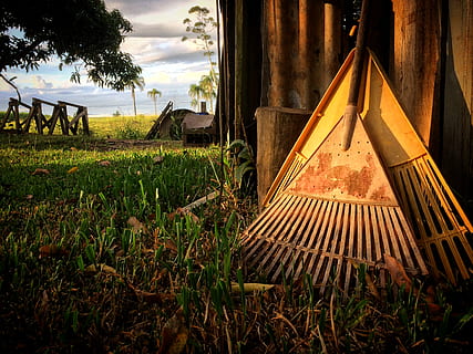 zwei, braun, Rechen, Gräser, Pflanze, Himmel, Baum, wolke - himmel, Natur, Gras, die Architektur, Feld, gebaute Struktur, Land, keine Leute, Holz - Material, Wachstum, Tag, Landschaft, Landwirtschaft, Gebäudehülle, draußen, ländliche Szene, verlassen, 2K, CC0, gemeinfrei, lizenzfrei