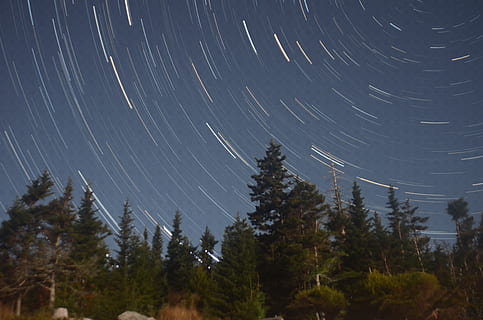 Baum, Sterne, Wald, Nikon, Astrofotografie, langlebig, Nacht-, Platz, Stern - Raum, Pflanze, Sternspur, Astronomie, Himmel, Szenen - Natur, Langzeitbelichtung, Schönheit in der Natur, Natur, Bewegung, keine Leute, ruhige Szene, Flachwinkelansicht, Star, Ruhe, Bewegungsunschärfe, Wachstum, draußen, Nadelbaum, 4K, CC0, gemeinfrei, lizenzfrei