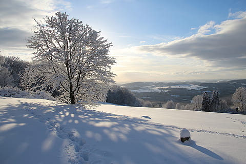 neu, hivern, fred, gelades, congelat, arbre, paisatge, naturalesa, panorama, schönwetter, escènic, Nova Zelanda, coberta de neu, muntanya d’escuma, Sarre, nevat, Alemanya, temporada, cel, núvols, temperatura de fred, bellesa a la natura, escenics - natura, núvol - cel, cobertura, planta, llum solar, un animal, medi ambient, dia, Color blanc, tranquil·litat, escena no urbana, cap gent, muntanya nevada, 5K, CC0, domini públic, lliure de regalies