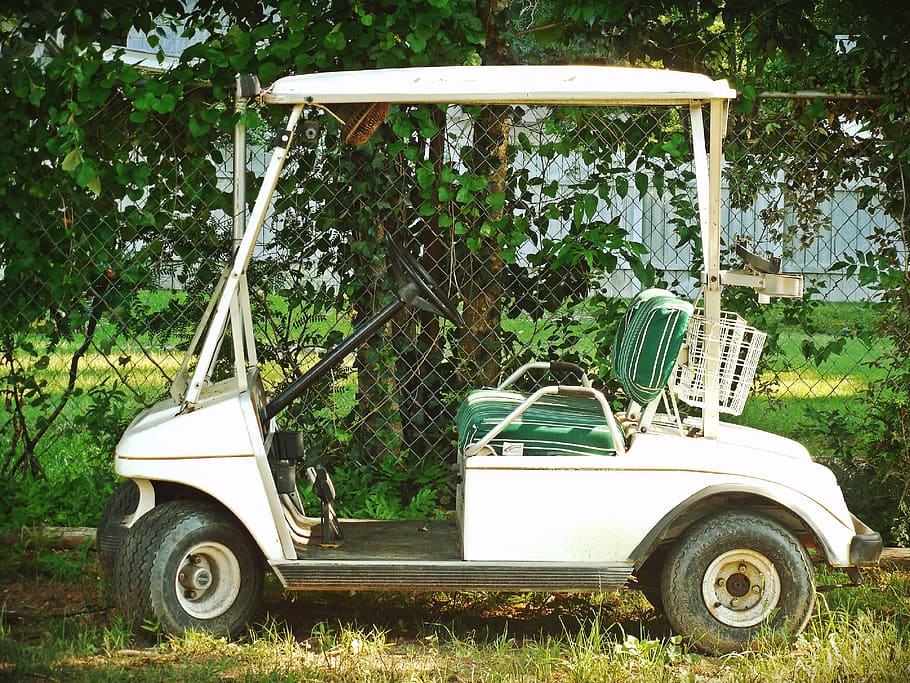 golf, carrello, verde, bianca, parcheggiata, ruote, giro, guidare, prato, posto a sedere, veicolo, pianta, modo di trasporto, mezzi di trasporto, albero, giorno, veicolo terrestre, veicolo a motore, natura, terra, campo, auto, erba, nessuno, all'aperto, in stile retrò, Golf cart, stazionario, colore verde, crescita, giardinaggio, 4K