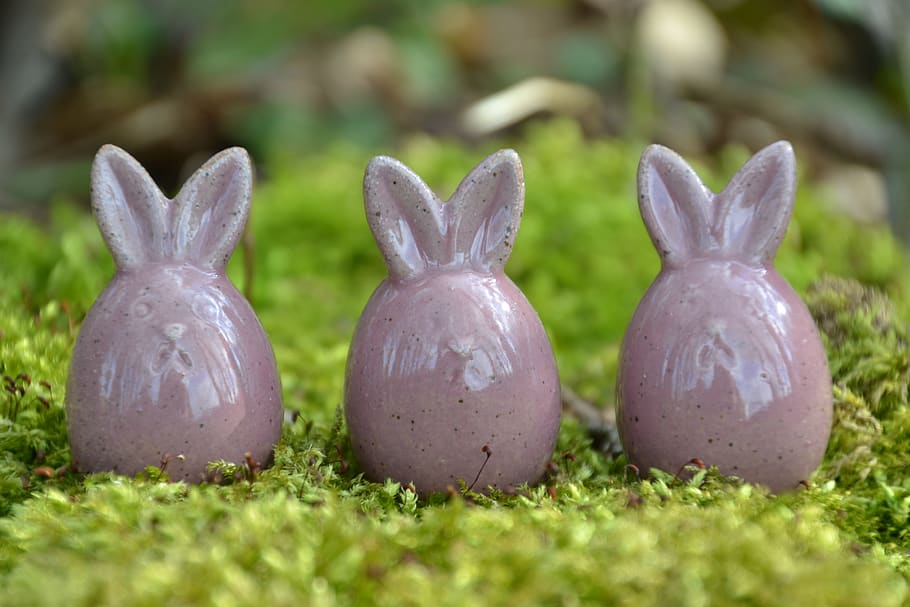 Pasqua, conill de Pasqua, bonic, llebre, deco, tema de pasqua, orelles, decoració de pasqua, figura, ceràmica, artesania, bosc, molsa, porpra, verd, herba, planta, naturalesa, dia, camp, enfocament selectiu, cap gent, terra, color verd, primer pla, conill - animal, centrar-se en primer pla, menjar, a l'aire lliure, animal, grup d’animals, celebració, frescor, 4K