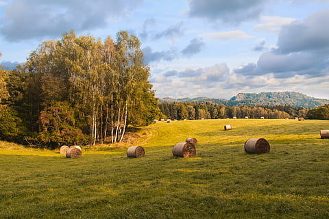 summer, beautiful, meadow, sky, clouds, plant, cloud - sky, tree, land, field, landscape, grass, environment, agriculture, beauty in nature, nature, bale, hay, tranquil scene, day, no people, green color, tranquility, scenics - nature, outdoors, 4K, CC0, public domain, royalty free