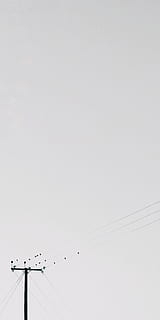 transmissionspost, hvid, skyer, lygtepæl, kabel, elektricitet, telefonlinje, fugle, perched, natur, udendørs, by-, minimal, himmel, strømkabel, lav vinkel visning, forbindelse, skyfri himmel, Strømforsyning, teknologi, kopiere plads, ingen mennesker, fugl, dyr, dag, dyre temaer, dyr i naturen, hvirveldyr, brændstof og elproduktion, gruppe af dyr, flok af fugle, 4K, CC0, offentligt domæne, royaltyfrie