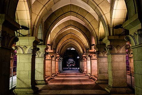 passadís, cripta, humà, sòls, persona, tokyo, a l'interior, universitat de tokyo, Japó, pis, arquitectura, arc, llosa, decoració de la llar, animal, gos, mascota, mamífer, direcció, el camí a seguir, estructura construïda, edifici, arcade, perspectiva decreixent, equips d’il·luminació, història, el passat, columna arquitectònica, persones incidentals, en fila, punt de fuga, il·luminat, sostre, arquejat, 5K, CC0, domini públic, lliure de regalies