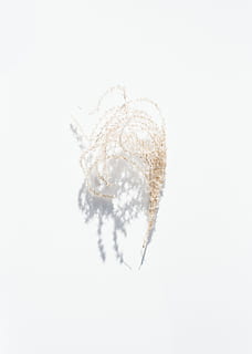 brown leaf, studio shot, white background, no people, indoors, white color, close-up, copy space, nature, cut out, winter, snow, softness, cold temperature, beauty in nature, fragility, tranquility, plant, vulnerability, frozen, 5K, CC0, public domain, royalty free