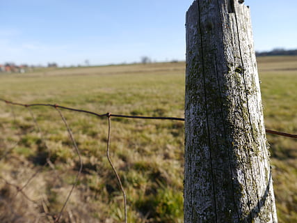 plot, zaměřit se na popředí, přistát, rostlina, krajina, pole, Příroda, hranice, strom, bariéra, růst, den, dřevo - materiál, nikdo, klid, nebe, venku, kmen stromu, kufr, bezpečnost, dřevěný sloupek, 4K, CC0, veřejná doména, bez autorských práv