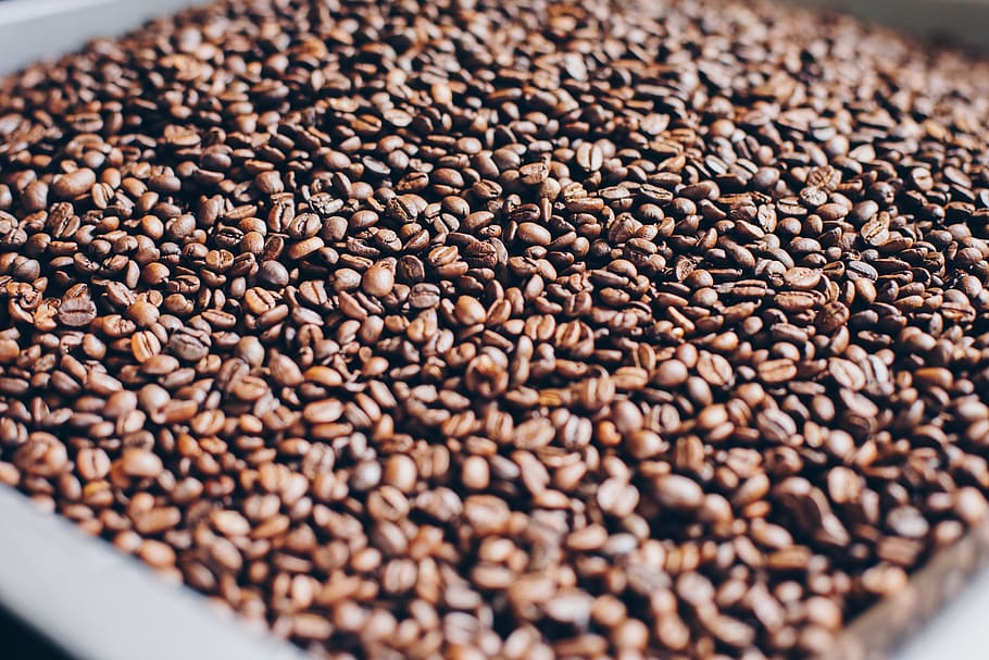 fotografía de primer plano, asado, granos de café, aromático, frijoles, difuminar, cafeína, de cerca, café, atención, pila, café tostado en grano, comida y bebida, comida, gran grupo de objetos, adentro, frescura, marrón, nadie, abundancia, grano de café tostado, café - bebida, naturaleza muerta, vista de alto ángulo, antecedentes, semilla, enfoque selectivo, fotograma completo, foto de estudio, 2K