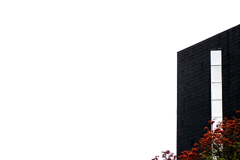 archictecture, building, built structure, architecture, copy space, building exterior, sky, clear sky, nature, day, city, plant, outdoors, low angle view, no people, office building exterior, modern, travel destinations, skyscraper, 5K, CC0, public domain, royalty free