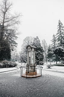 bianca, grigio, capannone, davanti, albero, freddo, luce del giorno, giorno, ambiente, nebbia, nebbioso, paesaggio nebbioso, sibilo, brina, gelido, tempo gelido, congelato, ghiaccio, ghiacciato, paesaggio, monumento, natura, parco, scena, panoramico, stagione, cielo, la neve, innevate, nevoso, alberi, tempo metereologico, inverno, sfondo invernale, paesaggio invernale, pianta, temperatura fredda, nessuno, architettura, struttura costruita, esterno dell'edificio, all'aperto, cielo sereno, strada, albero nudo, terra, copertura, bellezza nella natura, nevicando, 5K, CC0, dominio pubblico, privo di copyright