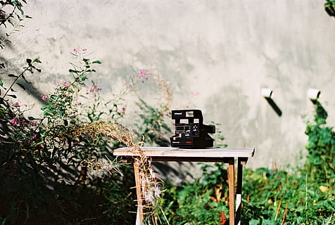 negro, camara de tierra, marrón, de madera, banco, cámara, mesa, pared, arbusto, hoja, hojas, tecnología, instagram, vendimia, antiguo, cámara filmográfica, retro, al aire libre, naturaleza, polaroid, original, película, Dom, jardín, anticuado, estilo retro, material de madera, flor, escena rural, planta, rústico, verano, nadie, árbol, primavera, color verde, culturas, 4K, CC0, dominio público, libre de derechos