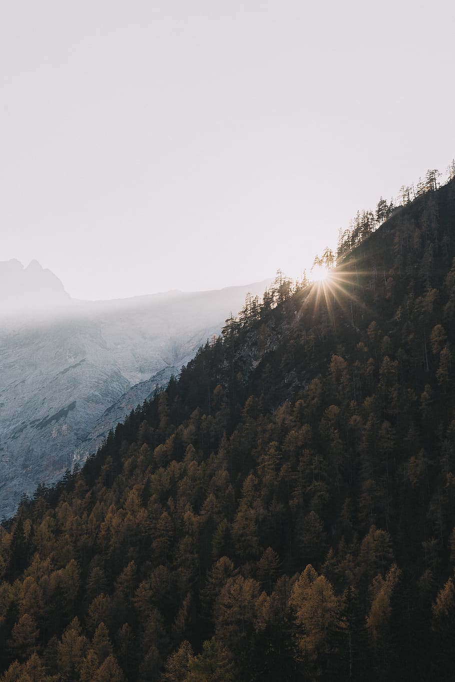 aereo, vista, montagna, nuvole, luce del giorno, ambiente, foresta, alto, paesaggio, montagne, natura, carta da parati della natura, scenario, panoramico, cielo, sole, abbagliamento solare, luce del sole, alberi, boschi, bellezza nella natura, scena tranquilla, la tranquillità, scenics - natura, pianta, albero, nessuno, giorno, scena non urbana, raggio di sole, riflesso lente, cielo sereno, all'aperto, 5K