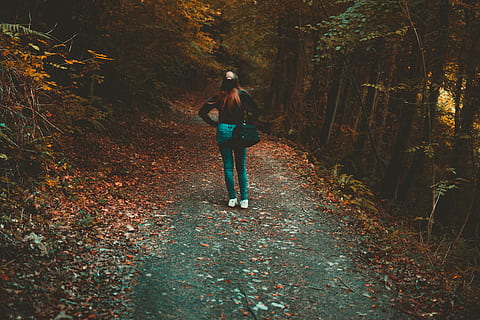 dona, caminar, sender forestal, tapa, la llum del dia, medi ambient, bosc, noia, paisatge, parc, camí, persona, arbres, desgast, boscos, una persona, arbre, longitud completa, terra, persones reals, de peu, activitat d'oci, estils de vida, adult jove, planta, roba casual, naturalesa, dones joves, tardor, vista frontal, dia, dones, adult, a l'aire lliure, canvi, 5K, CC0, domini públic, lliure de regalies