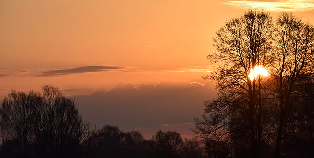 fotografia di silhouette, alberi, nuvole, retroilluminato, bellissimo, sera, nebbia, nebbioso, foresta, ora d'oro, paesaggio, luce, umore, sole mattutino, natura, panoramico, cieli, cielo, sole, Alba, tramonto, tempo metereologico, boschi, albero, silhouette, bellezza nella natura, pianta, scenics - natura, colore arancione, scena tranquilla, la tranquillità, nuvola - cielo, nessuno, idilliaco, scena non urbana, all'aperto, luce del sole, cielo romantico, 5K, CC0, dominio pubblico, privo di copyright