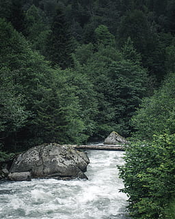 fiume, fotografia forestale, ponte, luce del giorno, ambiente, flusso, foresta, paesaggio, montagna, natura, all'aperto, rapide, rocce, scenario, panoramico, pietre, alberi, acqua, boschi, albero, pianta, bellezza nella natura, scenics - natura, crescita, acqua corrente, nessuno, fogliame lussureggiante, colore verde, fogliame, giorno, terra, scena non urbana, la tranquillità, movimento, fluente, potere in natura, foresta pluviale, 4K, CC0, dominio pubblico, privo di copyright