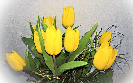 blomster, tulipaner, påske, påske bukett, gule tulipaner, frisk grønn, staket, vår, lys, blomstrende plante, blomst, gul, friskhet, skjørhet, sårbarhet, petal, inflorescence, anlegg, blomsterhodet, blad, plante del, nærbilde, skjønnhet i naturen, natur, ingen folk, grønn farge, høy vinkel visning, innendørs, vekst, sepal, 4K, CC0, offentlig domene, opphavsrett gratis