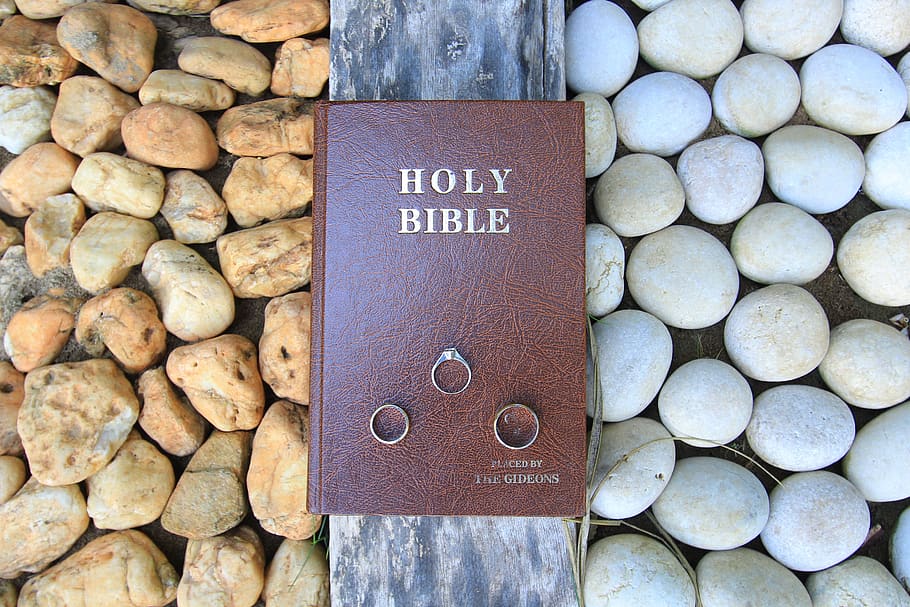 bíblia, anell, anell de noces, text, gran grup d'objectes, guió occidental, comunicació, pedra, cap gent, còdols, directament a sobre, rock, primer pla, pedra - objecte, sòlid, dia, abundància, nombre, vista d’angle alt, a l'aire lliure, patró, marró, naturalesa, 2K