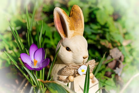 llebre, conill de Pasqua, Pasqua, safrà, primavera, figura, figura d’argila, so, flor, florir, mapa, osterkarte, planta, representació animal, conill - animal, planta amb flors, representació, primer pla, naturalesa, cap gent, animal, bellesa a la natura, figureta, art i artesania, creixement, joguina, dia, temes d'animals, mamífer, iris, cap de flor, porpra, 5K, CC0, domini públic, lliure de regalies