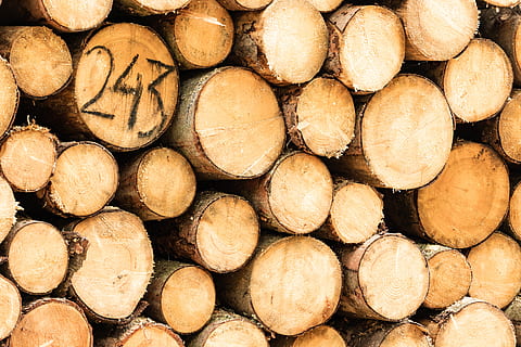 tronchi d'albero, legna, legname, numero, logs, intagliare, albero, segato, all'aperto, abbattuto, struttura, modello, natura, fungo, flora, pianta, legno abbattuto, fotogramma intero, sfondi, grande gruppo di oggetti, ceppo, legna da ardere, pila, industria del legname, la deforestazione, foresta, abbondanza, legno - materiale, mucchio, nessuno, combustibile fossile, Marrone, avvicinamento, combustibile e produzione di energia, catasta di legna, tritato, 5K, CC0, dominio pubblico, privo di copyright