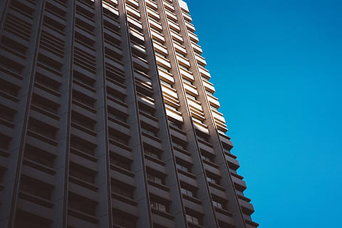 Austràlia, sydney, patró, cel, blau, edifici, metrocitat, centre de la ciutat, ciutat, estructura construïda, arquitectura, exterior de l'edifici, vista d’angle baix, cap gent, exterior d’edifici d’oficines, modern, naturalesa, oficina, llum solar, cel clar, dia, finestra, a l'aire lliure, gratacels, apartament, 5K, CC0, domini públic, lliure de regalies
