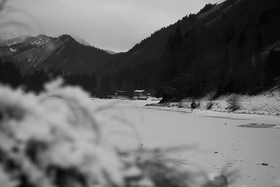arbres, zing, muntanya, negre, blanc, llac, bosc, neu, temperatura de fred, hivern, bellesa a la natura, arbre, naturalesa, escenics - natura, tranquil·litat, dia, cel, cap gent, planta, escena tranquil·la, terra, Serra, medi ambient, escena no urbana, centrar-se en fons, a l'aire lliure, muntanya nevada, nivell superficial, 2K