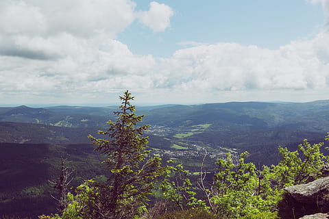 verde, arvores, montanha, branco, azul, céu, lindo, nuvens, luz do dia, floresta, Planalto, idílico, montanhas, natureza, Rocha, cênico, Ramos de árvore, planaltos, nuvem - céu, plantar, beleza na natureza, tranquilidade, crescimento, scenics - natureza, cena tranquila, árvore, dia, meio Ambiente, panorama, ninguém, cena não urbana, cor verde, cadeia de montanhas, terra, ao ar livre, 5K, CC0, domínio público, royalty free