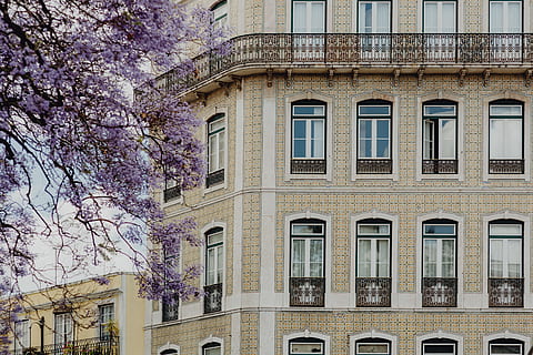lisbon architecture, portugal, architecture, buildings, town, city, Europe, facade, colorful, portugal, lisbon, lisboa, june, cityscape, built structure, building exterior, tree, plant, window, building, no people, nature, flower, day, flowering plant, growth, outdoors, low angle view, freshness, springtime, branch, blossom, cherry blossom, 5K, CC0, public domain, royalty free