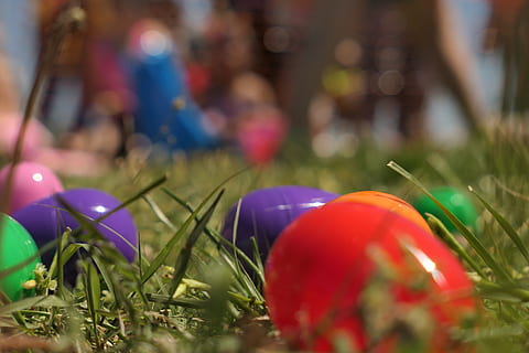 Pasen, ei, geschilderd, de lente, gekleurde, eieren, natuur, vakantie, selectieve aandacht, detailopname, fabriek, rood, geen mensen, speelgoed-, focus op de voorgrond, viering, gras, multi gekleurd, dag, buitenshuis, decoratie, stilleven, pinwheel speelgoed, groei, kunst en ambacht, 5K, CC0, publiek domein, royaltyvrij