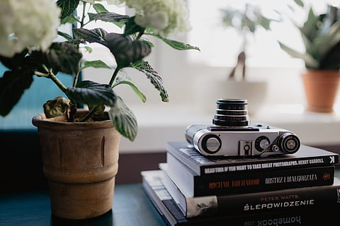 old, analog camera, photography book, book, reading, camera, photography, photographer, learning, analog, plant, potted plant, table, no people, indoors, nature, close-up, focus on foreground, vase, still life, communication, home interior, day, text, growth, leaf, plant part, houseplant, antique, flower pot, 5K, CC0, public domain, royalty free