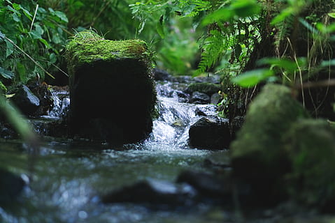 stak, flod, vand, romantik, hvile, sten, stablet, sten-, natur, bach, miljø, humør, plante, grøn farve, ingen mennesker, træ, selektiv fokusering, vækst, flydende vand, Skov, mos, dag, klippe, jord, bevægelse, skønhed i naturen, solid, rock-objekt, udendørs, flyder, strøm - rindende vand, overflade niveau, 5K, CC0, offentligt domæne, royaltyfrie