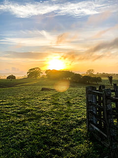 foto dei prati, bellissimo, nuvole, ambiente, erba, campo d'erba, prateria, verde, verdura, orizzonte, paesaggio, prato, natura, cielo, sole, Alba, tramonto, alberi, nuvola - cielo, scenics - natura, bellezza nella natura, terra, pianta, campo, luce del sole, la tranquillità, scena tranquilla, nessuno, colore arancione, riflesso lente, idilliaco, all'aperto, 4K, CC0, dominio pubblico, privo di copyright