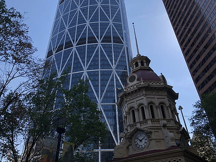 Kanada, Calgary, zbudowana struktura, architektura, na zewnątrz budynku, niski kąt widzenia, drzewo, budynek, Natura, niebo, roślina, żadnych ludzi, wieża, dzień, wysoki - wysoki, Miasto, cele podróży, religia, duchowość, budynek biurowy na zewnątrz, miejsce kultu, wieżowiec, 4K, CC0, domena publiczna, darmowe zdjęcia