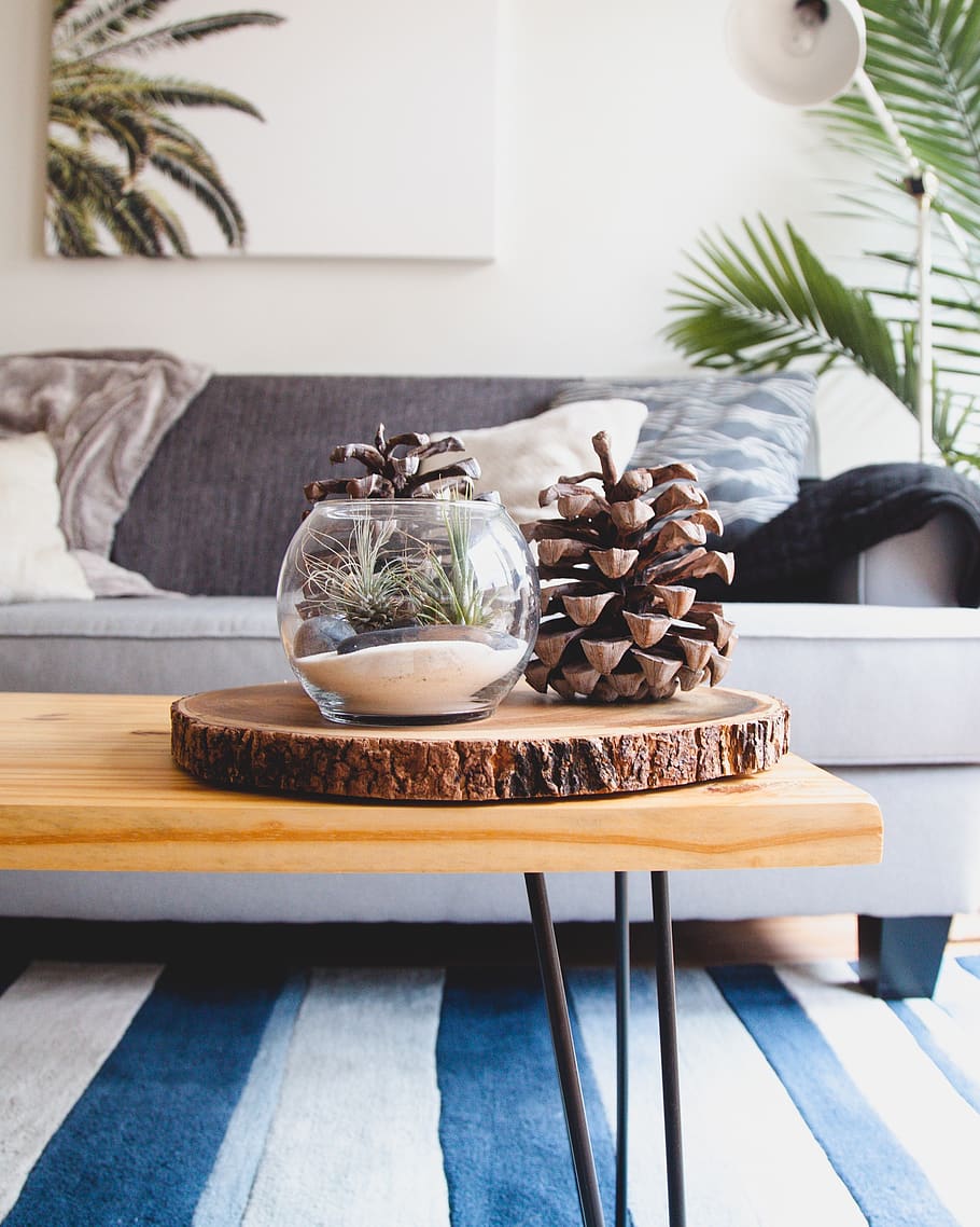 casa, interior, sofà, vivent, habitació, fusta, taula, vidre, pantalla, conífera, con, planta, menjar i beguda, menjar, a l'interior, cap gent, menjar dolç, frescor, postres, interior de casa, natura morta, dolç, centrar-se en primer pla, indulgència, llest per menjar, placa, temptació, dia, mida de la porció, safata, 2K