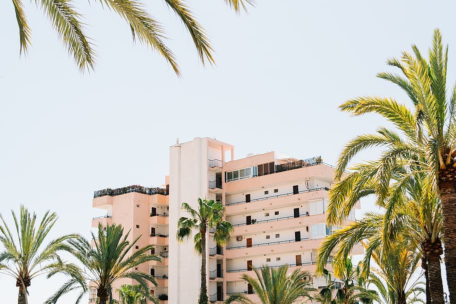 arquitectura, edifici, estructura, cel, arbre, planta, naturalesa, Palmera, exterior de l'edifici, estructura construïda, clima tropical, creixement, palmera datilera, dia, full, cap gent, ciutat, barri residencial, cel clar, a l'aire lliure, color verd, fulla de palma, apartament, palmera de coco, 5K